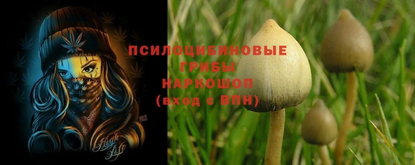 apvp Верея