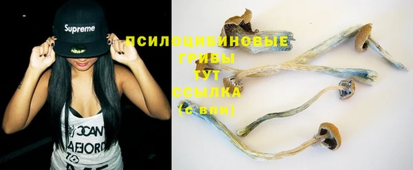 дурь Бронницы