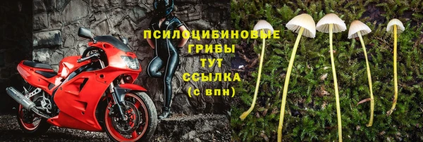 apvp Верея