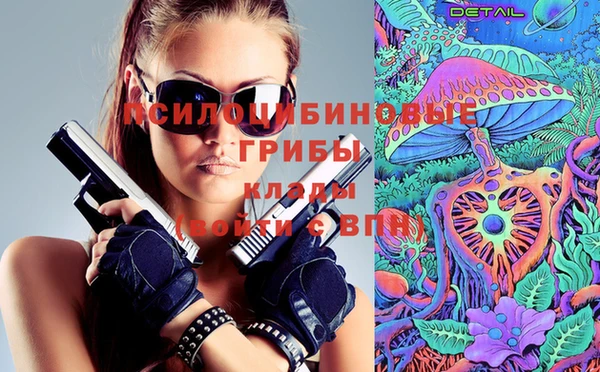 apvp Верея