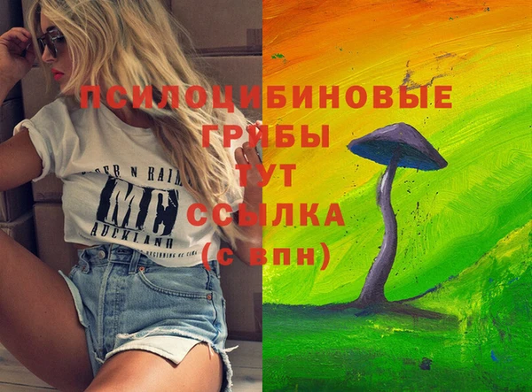 ПСИЛОЦИБИНОВЫЕ ГРИБЫ Карталы