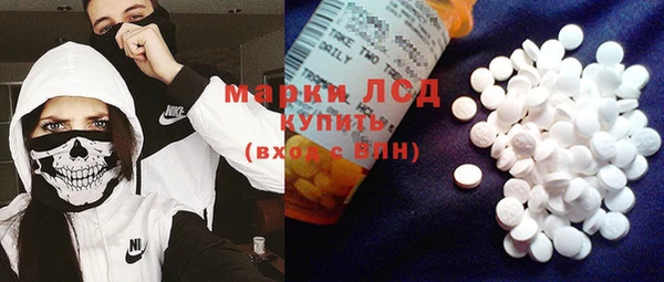 apvp Верея