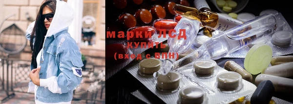 apvp Верея