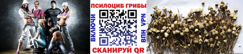 закладки  Киренск  Псилоцибиновые грибы прущие грибы 